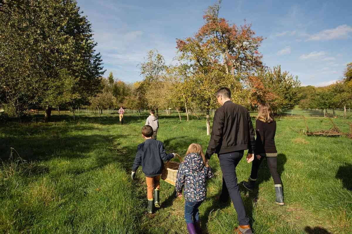 Découvrir les spécialités normandes